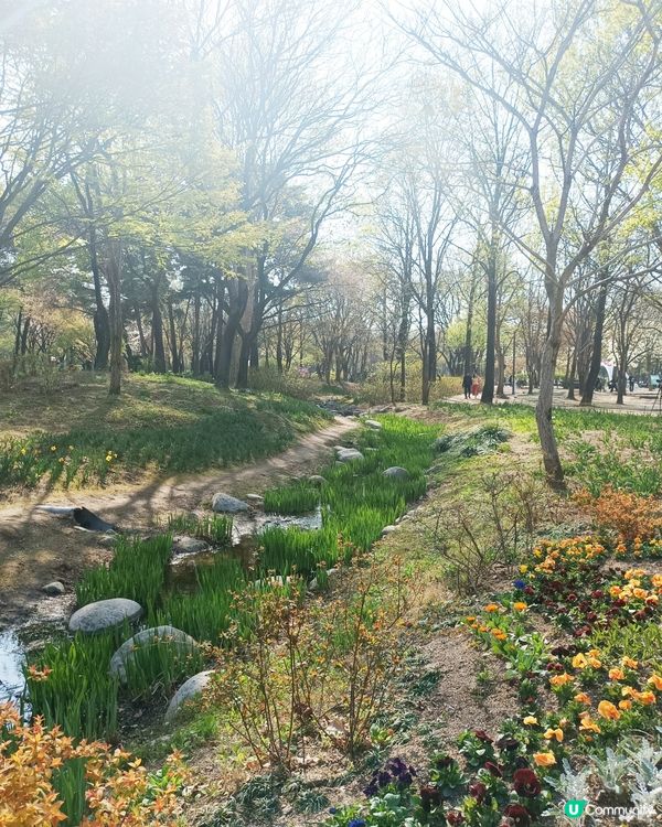 🇰🇷韓國旅行好去處！首爾林公園！打卡影相一流😍