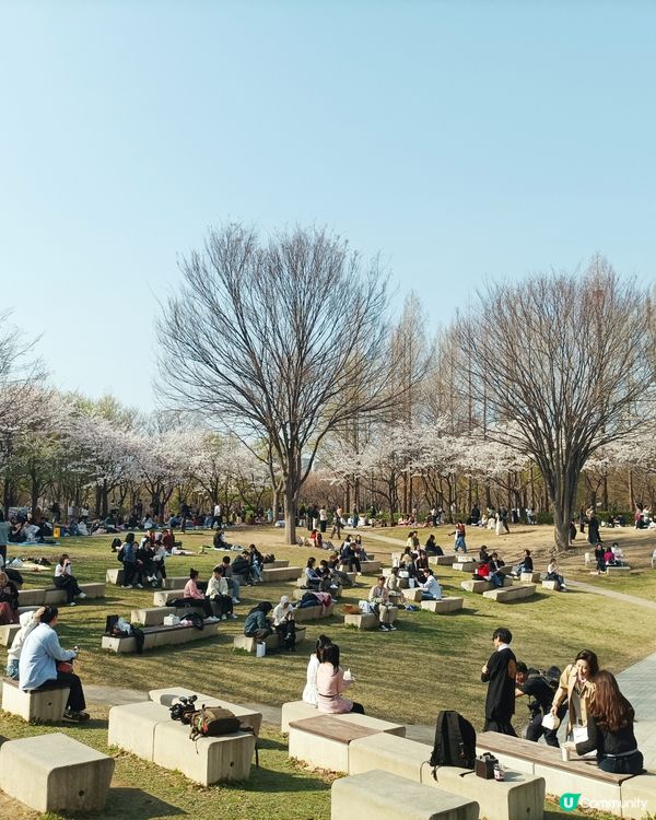 🇰🇷韓國旅行好去處！首爾林公園！打卡影相一流😍