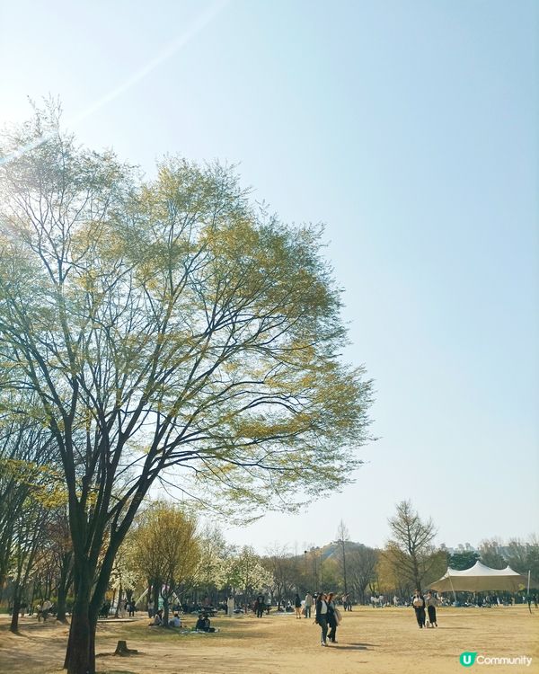🇰🇷韓國旅行好去處！首爾林公園！打卡影相一流😍