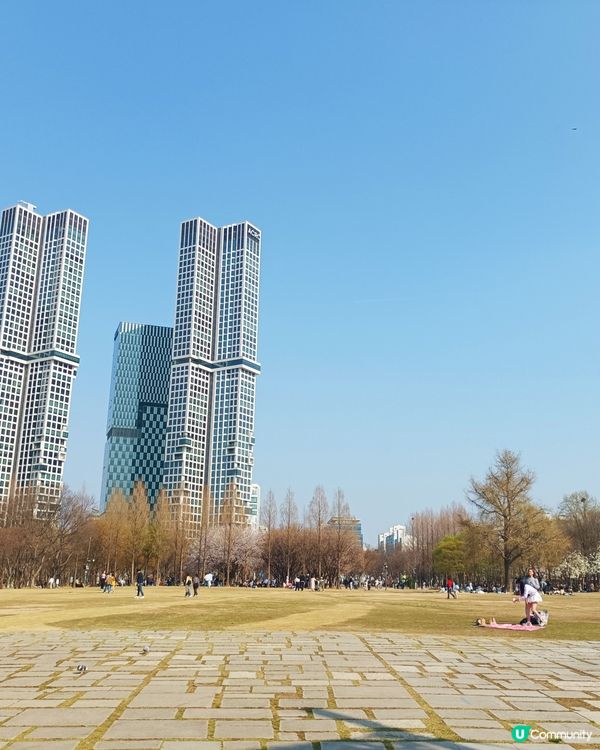 🇰🇷韓國旅行好去處！首爾林公園！打卡影相一流😍