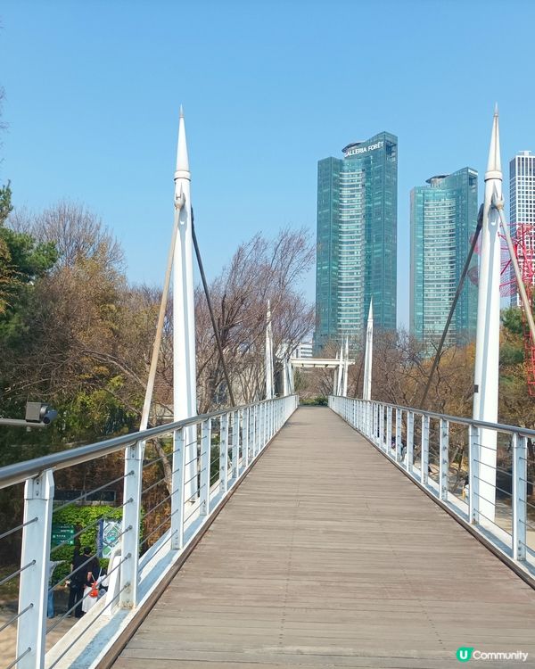 🇰🇷韓國旅行好去處！首爾林公園！打卡影相一流😍
