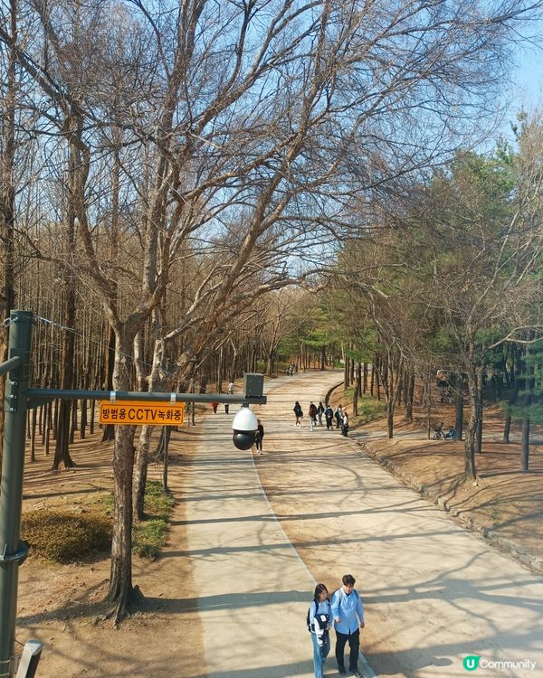 🇰🇷韓國旅行好去處！首爾林公園！打卡影相一流😍