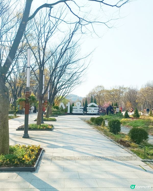 🇰🇷韓國旅行好去處！首爾林公園！打卡影相一流😍