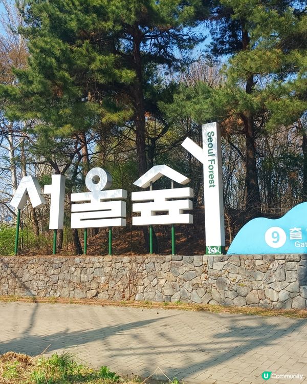 🇰🇷韓國旅行好去處！首爾林公園！打卡影相一流😍