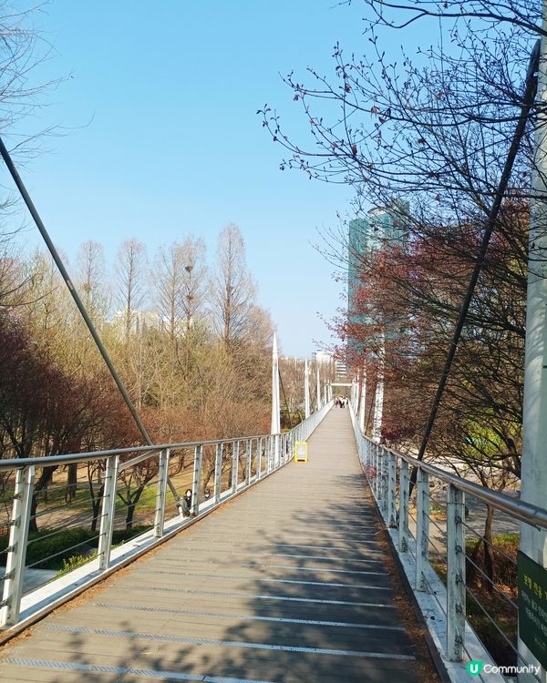 🇰🇷韓國旅行好去處！首爾林公園！打卡影相一流😍