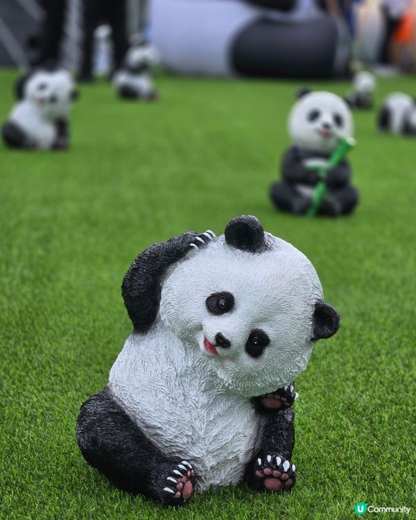 可愛熊貓，帶來無限歡樂！