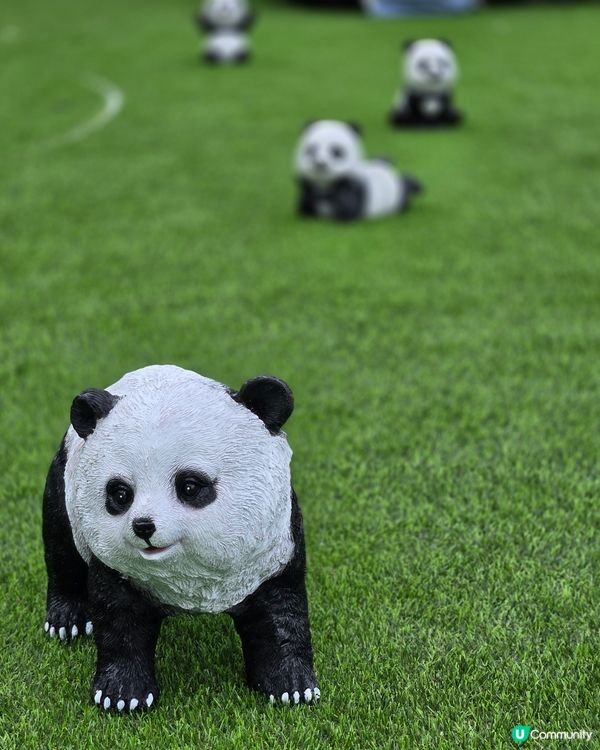 可愛熊貓，帶來無限歡樂！