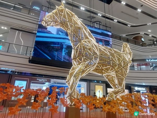 圍方駿馬，馬上圓夢