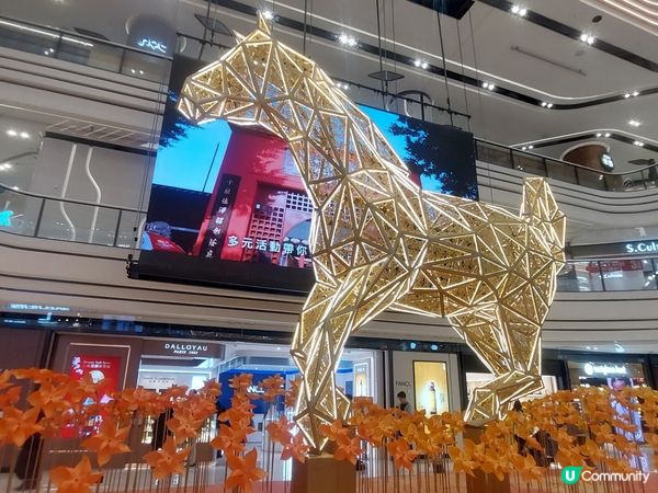 圍方駿馬，馬上圓夢