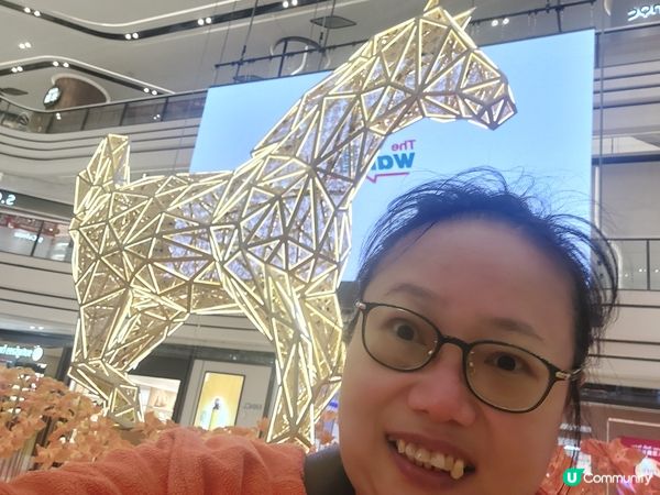 圍方駿馬，馬上圓夢