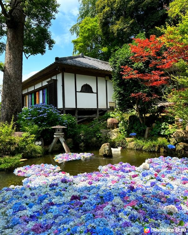 夏日限定爆紅打卡位 — 「雨引觀音」