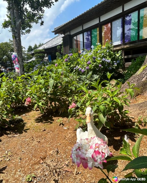 夏日限定爆紅打卡位 — 「雨引觀音」