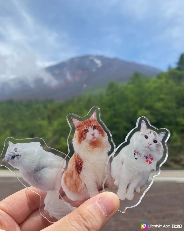 帶貓貓上富士山