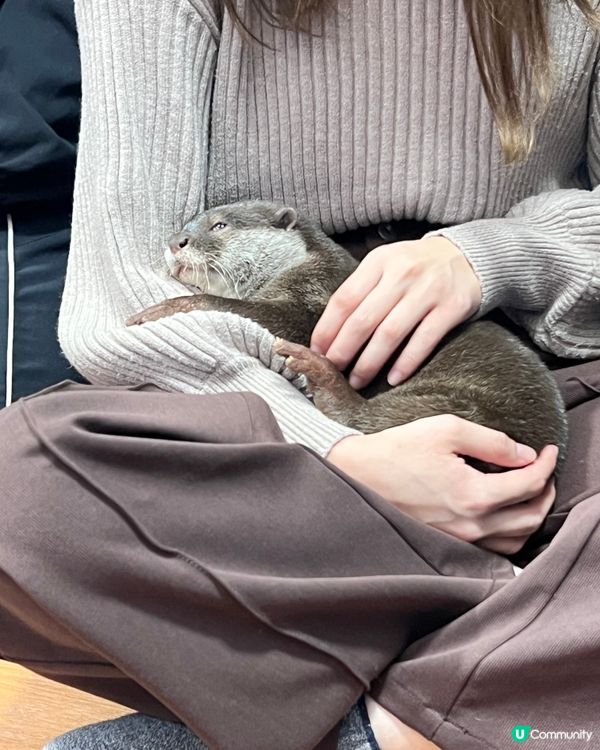 2025/11/26 11月東京遊 Day 4 📍池袋 水獺cafe🦦