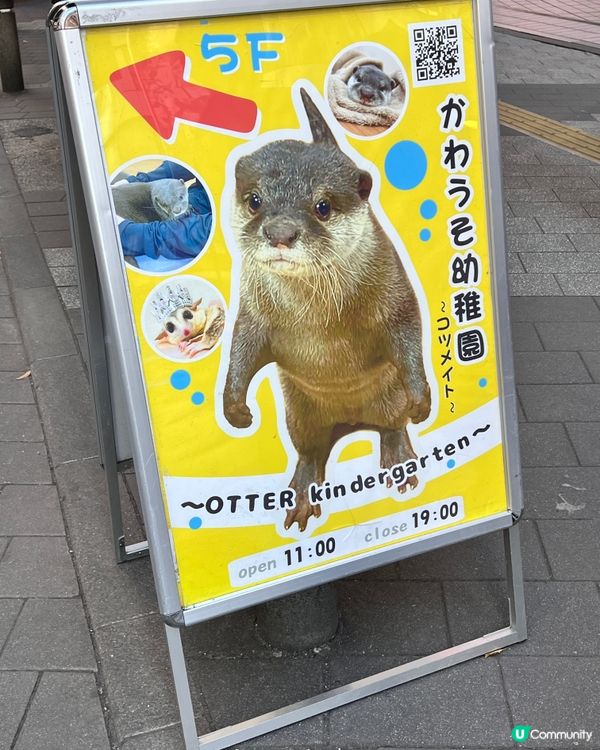 2025/11/26 11月東京遊 Day 4 📍池袋 水獺cafe🦦