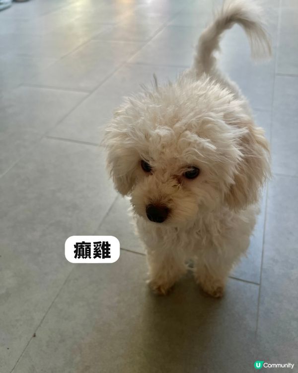 六個月嘅小朋友