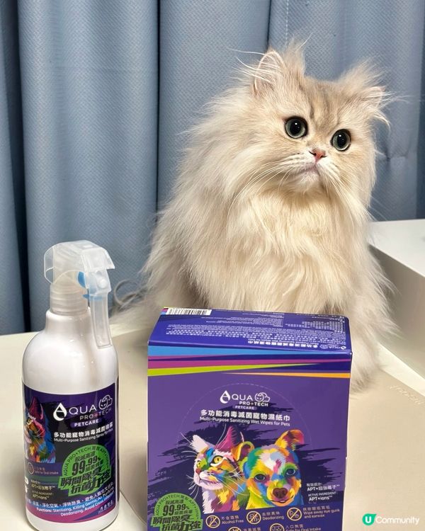貓狗必備噴霧 🐾✨