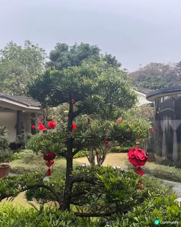 好味道😋寶瓏薈