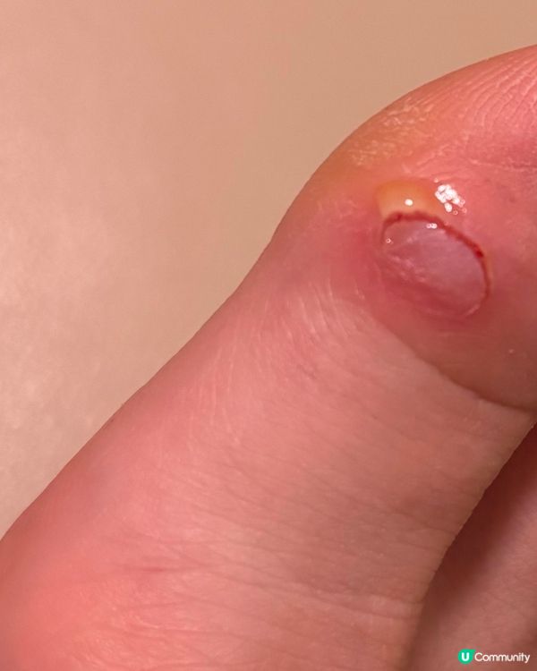 🆘BOGA高踭鞋｜被IG廣告瘋狂洗腦衝動消費嘅代價🥲