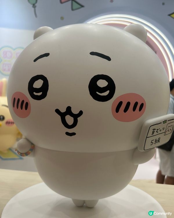 好開心 香港終於有Chiikawa 常設店,可惜搶唔到見面會...