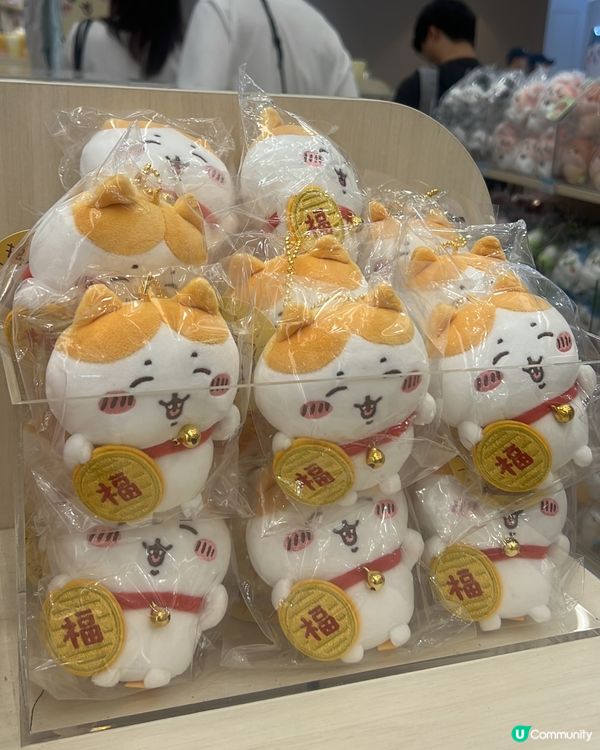 好開心 香港終於有Chiikawa 常設店,可惜搶唔到見面會...