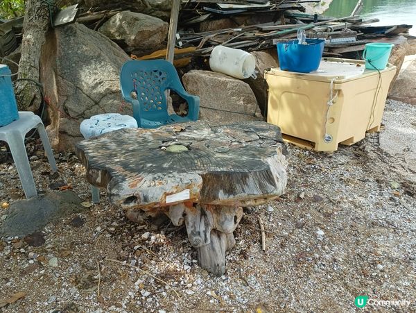 馬屎洲🐴半日遊