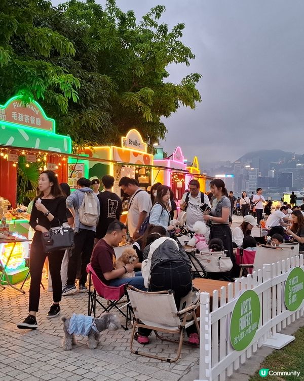 好有藝術氣氛呀…