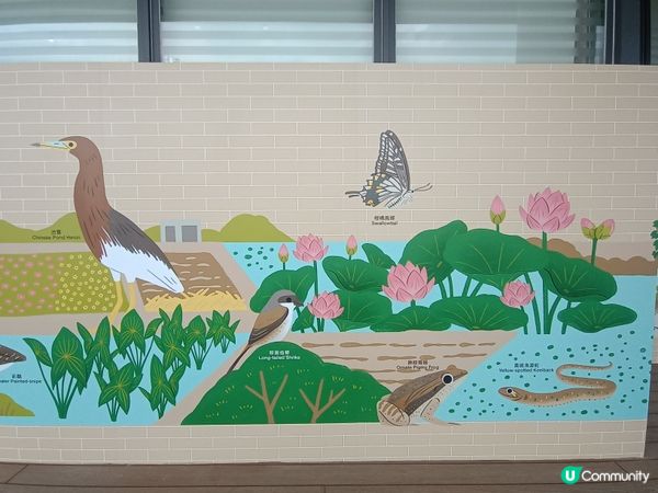 塱原濕地靚景📸📚✨