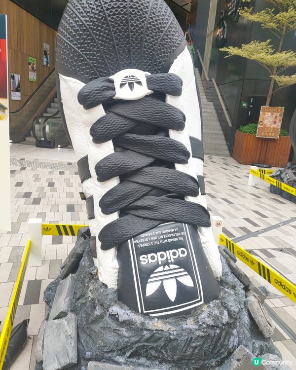 Adidas巨型波鞋s，旺角街頭出沒注意！👟