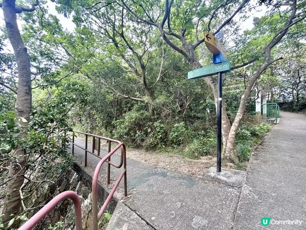 魔鬼山｜半小時登頂｜參觀軍事遺址｜飽覽維港兩岸、將軍澳跨灣大橋一帶景致 📸