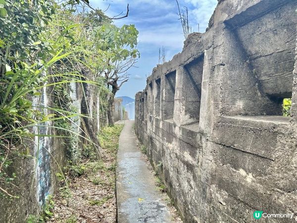 魔鬼山｜半小時登頂｜參觀軍事遺址｜飽覽維港兩岸、將軍澳跨灣大橋一帶景致 📸