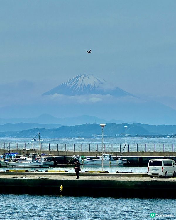 唔洗同人迫都睇到富士山🗻👀附路線攻略‼️