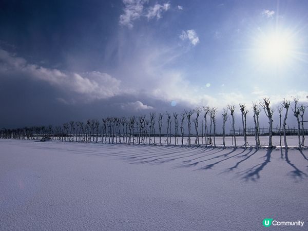 ## 新潟雪國之旅❄️  
## 新潟雪景，點解咁靚嘅！🤩