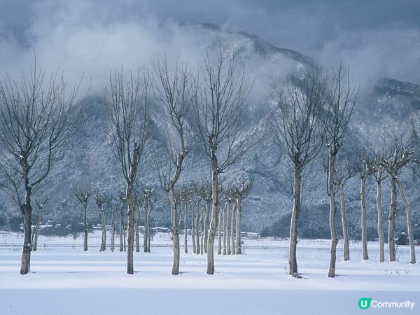 ## 新潟雪國之旅❄️  
## 新潟雪景，點解咁靚嘅！🤩