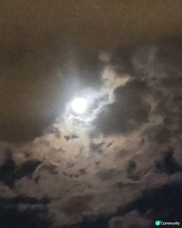 ## 中秋賞月🌕 海旁野餐🎉