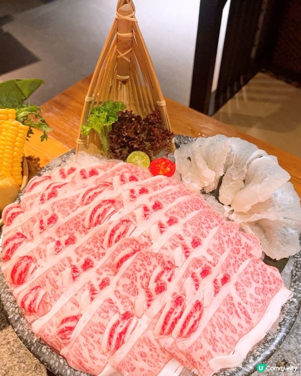 限時六折‼️抵食火鍋