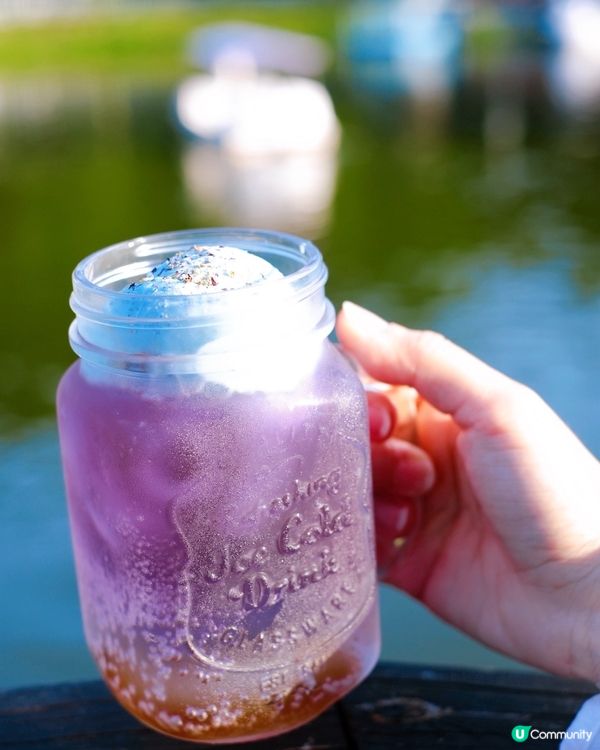 尋日就去咗 #大埔 #蝶豆花園 