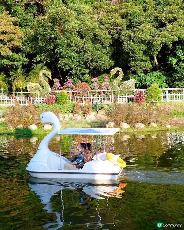 尋日就去咗 #大埔 #蝶豆花園 