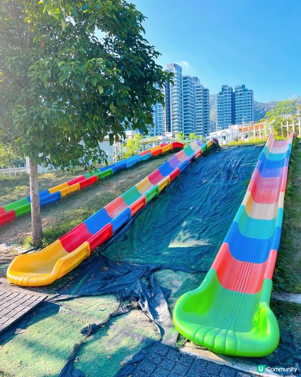 尋日就去咗 #大埔 #蝶豆花園 