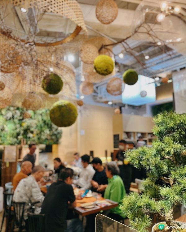 置身🌴林中的素食