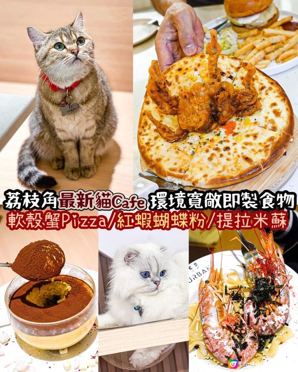 《荔枝角最新貓𝗖𝗮𝗳𝗲🐈環境寬敞即制食物》 