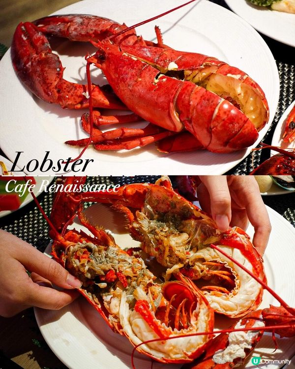 《蒸原隻新鮮大龍蝦🦞泰式主題自助餐🔥》