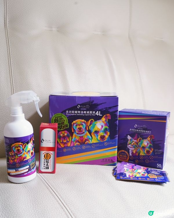 狗狗外出必備三寶🐶