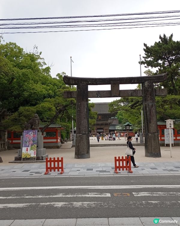 筥崎宮 繡球花展