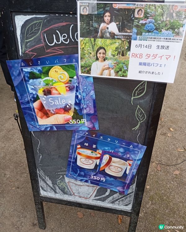 筥崎宮 繡球花展