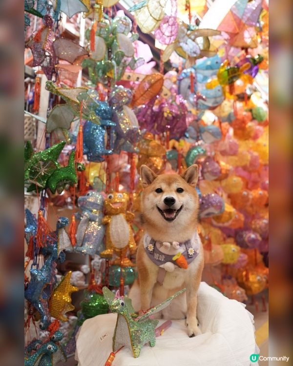 大橋街市超靚燈籠