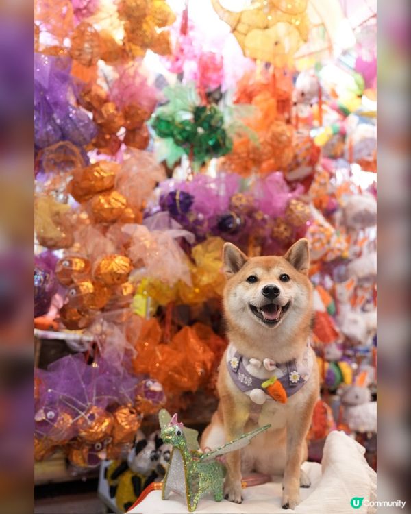 大橋街市超靚燈籠