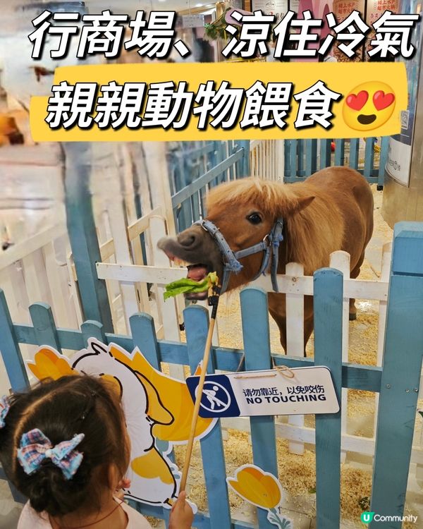 行商場、涼住冷氣!
親親動物餵食😍