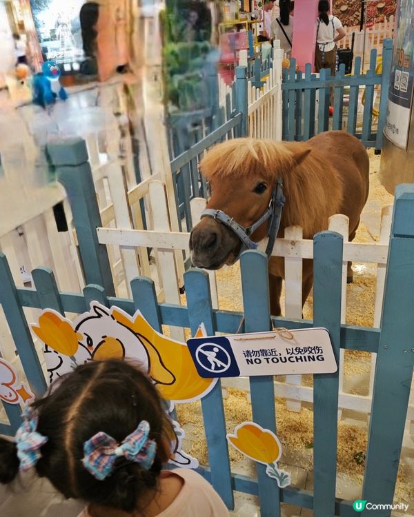 行商場、涼住冷氣!
親親動物餵食😍