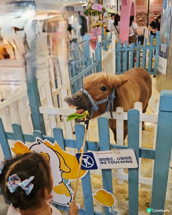 行商場、涼住冷氣!
親親動物餵食😍